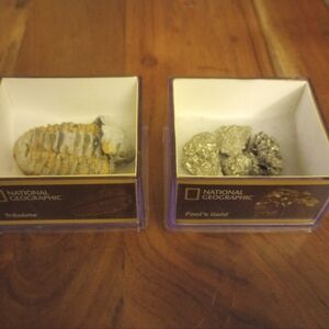 National Geographic trilobite and fool's gold